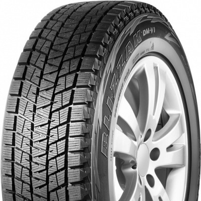 Bridgestone DM V1  3286340346917