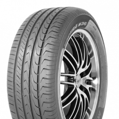 Maxxis M 36  4717784277424